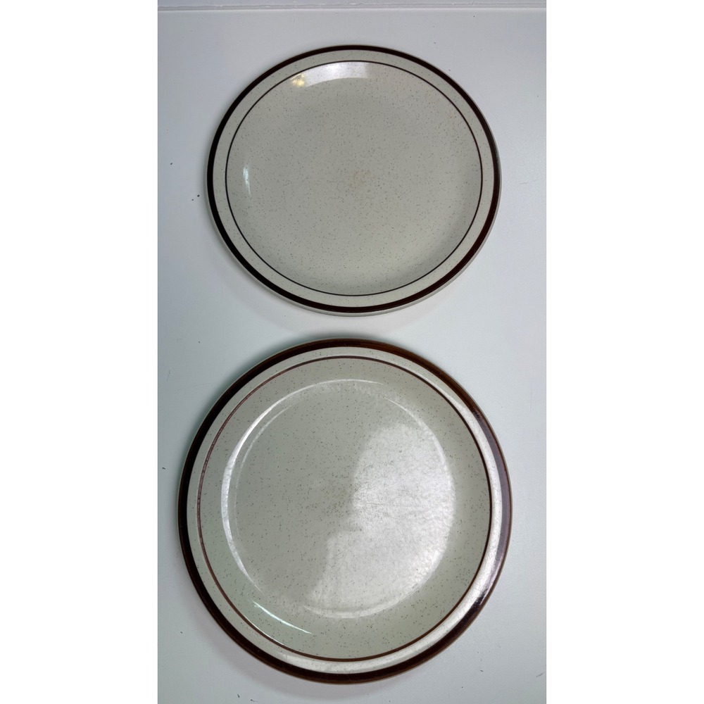 Rego China C762-21 Dinner Plates‎ Set of 2 Cream Brown Band Speckled 10.25 in